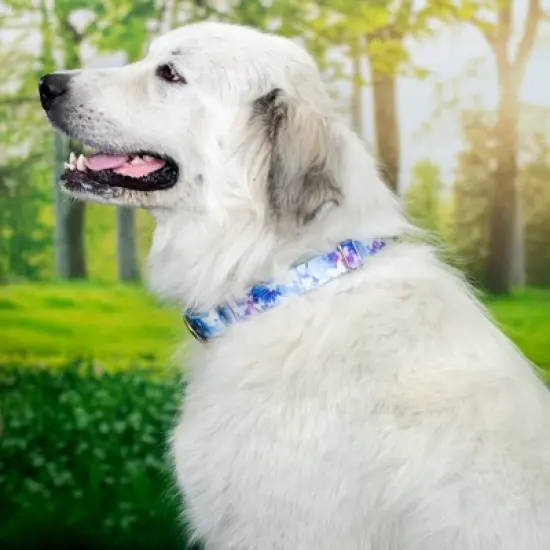 Country Brook Petz - Watercolor Butterflies Martingale Dog Collar image {4}