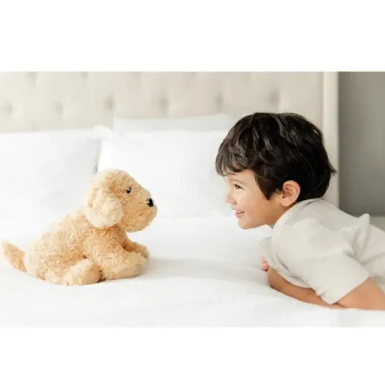 Intelex Warmies Microwavable Plush Golden Dog & Calico Cat - 13" image {3}