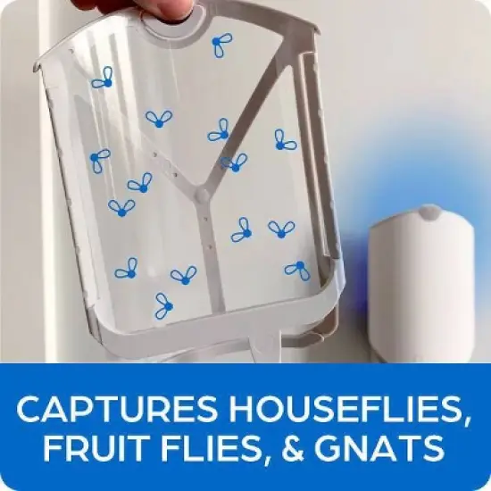 Zevo Indoor Flying Insect Trap Starter Kit for Fruit flies, Gnats, and House Flies - 4ct image {8}