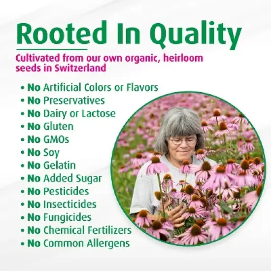 A. Vogel Echinaforce Soothing Throat Spray &ndash; Fresh Organic Echinacea & Sage &ndash; Immune Support Supplement &ndash; Non-GMO, Dairy & Gluten Free &ndash; 1 fl oz image {5}