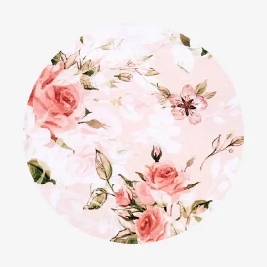 Infant Vintage Pink Rose Sleep Bag - Posh Peanut image {3}