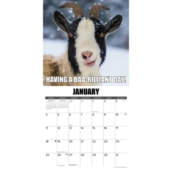 Willow Creek Press 2026 You Goat This Wall Calendar image {2}