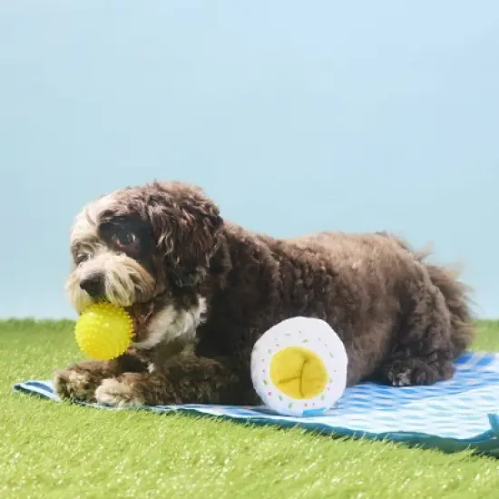 BARK Spring Picnic in the Bark Deviled Begg Dog Plush Toy - 2pc image {6}