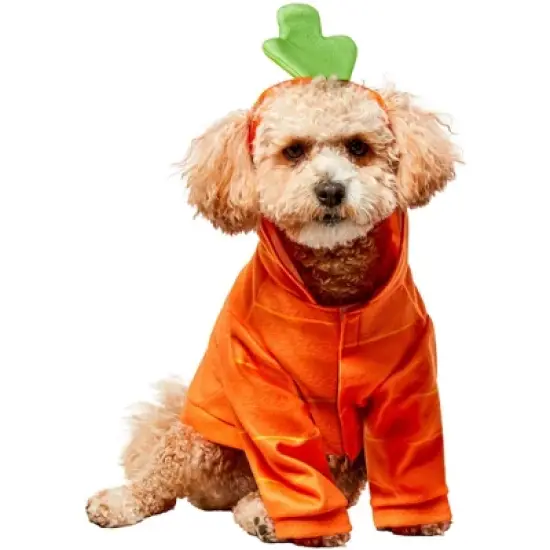 Rubies Carrot Cutie Pet Costume image {4}