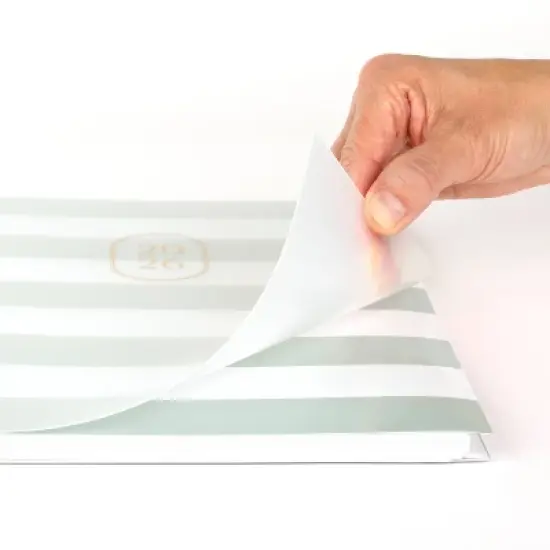 Sugar Paper Essentials 11"x9.5" 2026 Large Frosted Planner Green Stripe image {5}