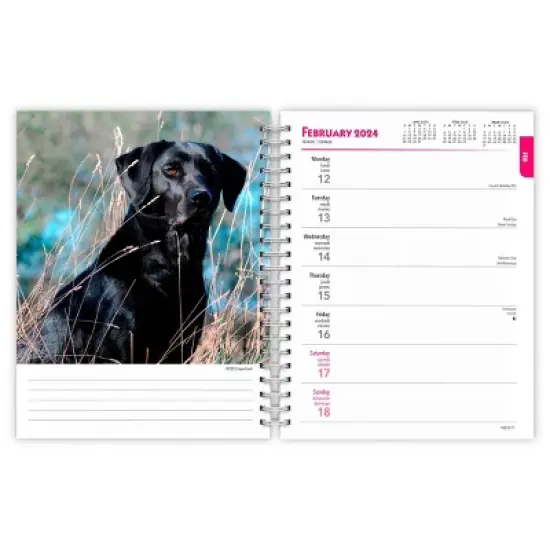 Browntrout 23-2024 Weekly/Monthly Planner 7.5"x7.125" Black Labrador Retrievers image {2}
