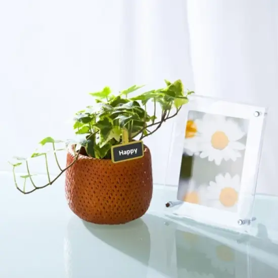 Unique Bargains Wood Smooth Wedding Party Clip Design Chalkboard Orange 30 Pcs image {5}