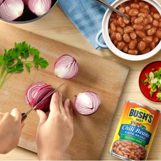 Bush's Pinto Beans in Mild Chili Sauce - 16oz image {5}