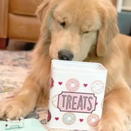 Amici Pet Barkers Dozen Metal Treats Canister - Colorful Cartoon Donut Design Storage Tin with Silver Bone Knob Lid, Food Safe - 96 oz image {2}