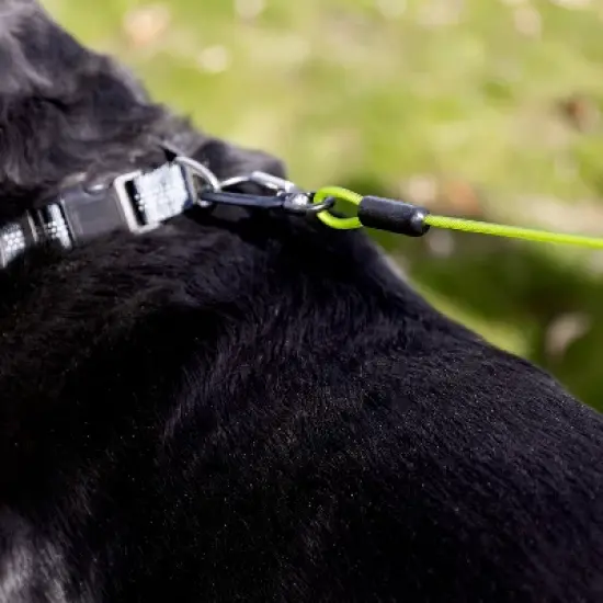 Mighty Paw Chew-Proof Dog Leash | 6ft Braided Steel Cable, Padded Handle, Green image {3}