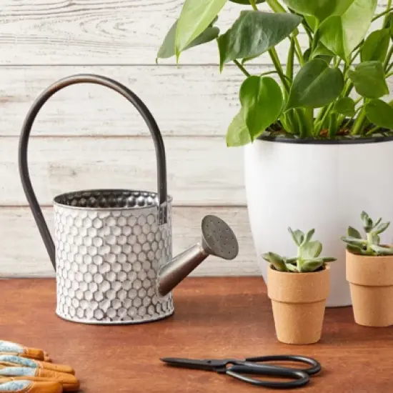 Okuna Outpost Galvanized Metal Watering Can Vase for Indoor Outdoor Plant, Succulents (5.1 x 10 in) image {2}