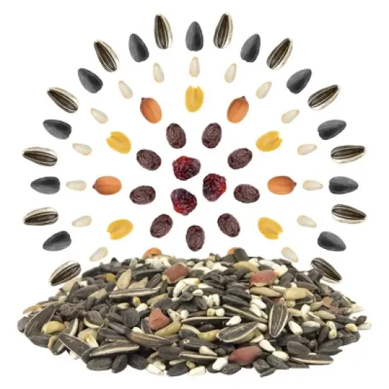 Melody Select 4lb Songbird Supreme Wild Bird Food: Nut & Fruit Blend, Attracts Variety of Birds, USA Made image {2}