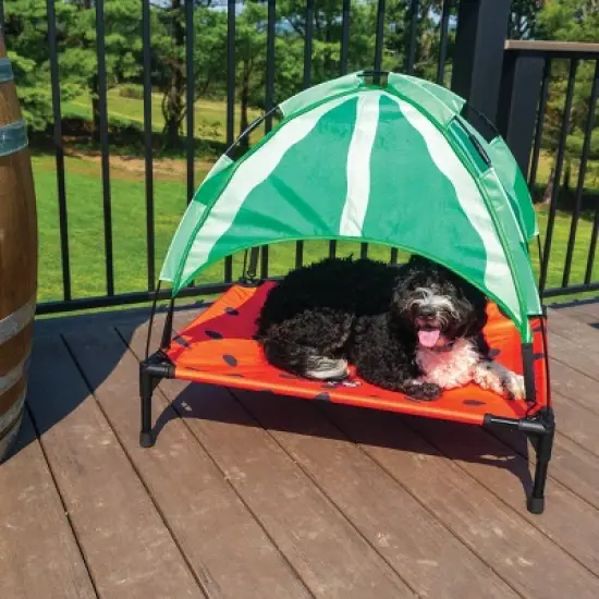 BigMouth Inc. Elevated Dog Canopy Bed - Watermelon - L image {7}