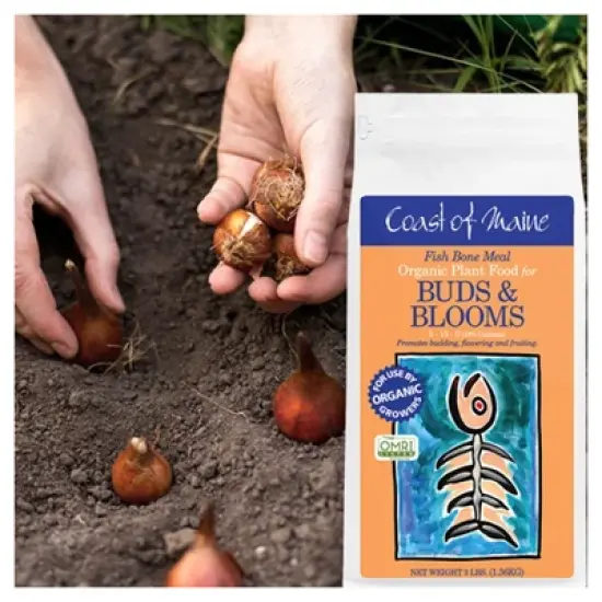 Coast of Maine OMRI Listed Fish Bone Meal Pack Organic Compost Potting Soil Blend for Container Gardens and Flower Pots, 3 Pound Bag image {4}