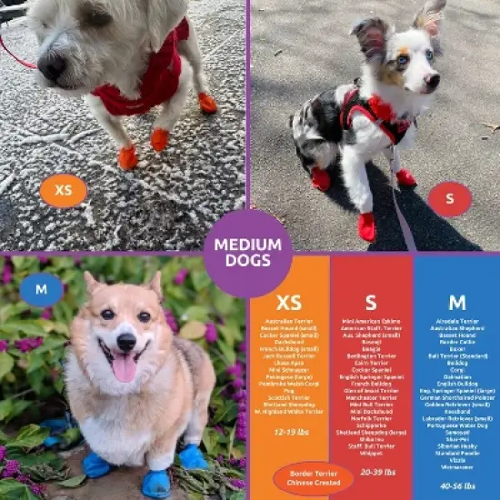 Pawz 12pc Rubber Dog Boots image {9}