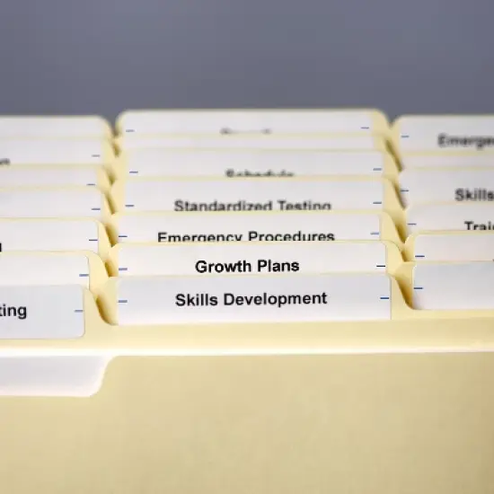 Avery Easy Peel Permanent File Folder Labels on 4" x 6" Sheets, 2/3" x 3-7/16", White, 3 Pack, 756 Labels Total (32131) image {4}