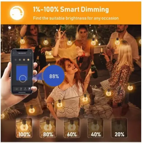 BlueAcorn Indoor/Outdoor Bluetooth LED Globe String Lights for patio, 50ft image {2}