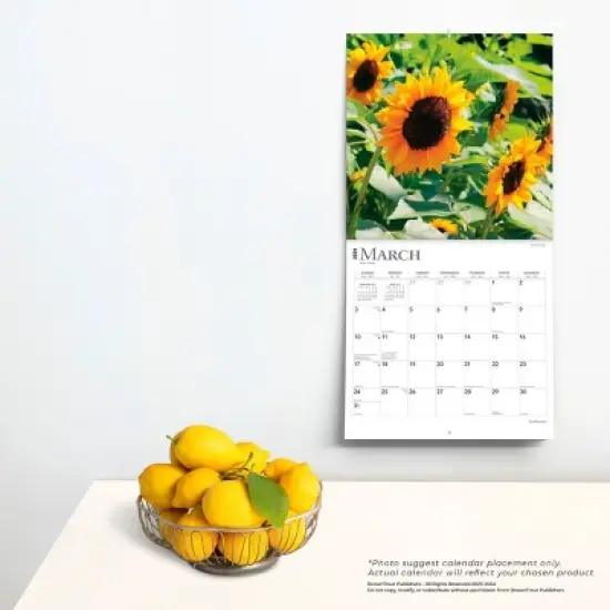 Browntrout 2024 Wall Calendar 12"x12" Sunflowers image {3}