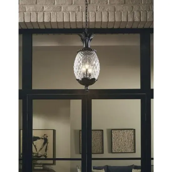 Acclaim Lighting Lanai 3 - Light Pendant in  Matte Black image {1}