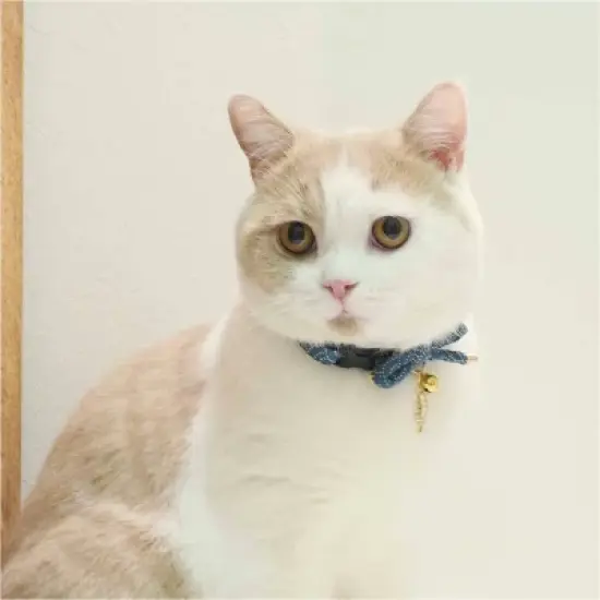 Necoichi Zen Fish Charm Cat Collar image {3}