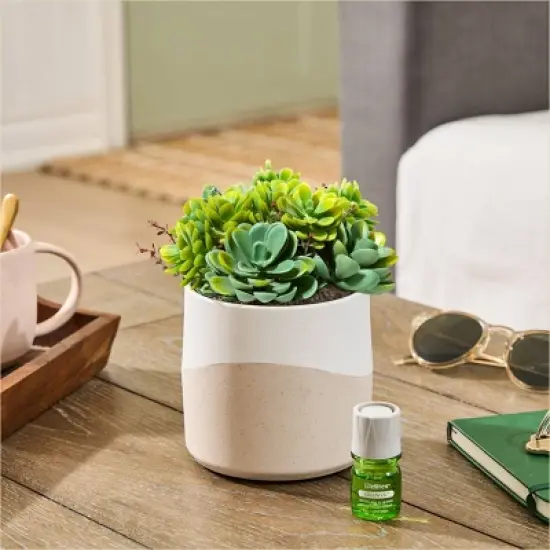 Lifelines Planter Diffuser - Succulent image {3}