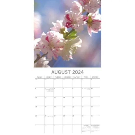 The Gifted Stationery 2024 Square Wall Calendar, Blossoms, 16-Month Floral Theme with 180 Reminder Stickers (12x12 In) image {2}