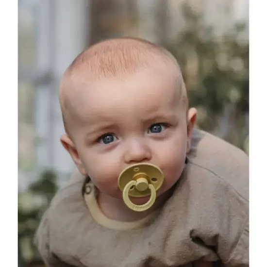 Bibs Colour Latex Pacifier - 2pk image {2}