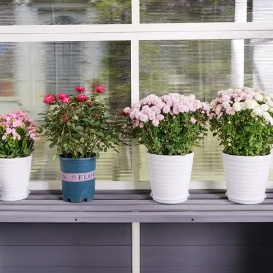 Greenhouse, Wooden Lean to Greenhouses for Outdoors, Heavy Duty Walk in Green House for Outside Winter for Sunroom Storage Shed, Garden, Backyard image {12}