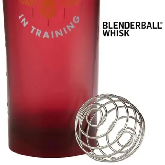 Harry Potter Blender Bottle Shaker Bottle, 28 oz- Seeker in Training- Blend Protein Powder, Sport Drinks, Shakes, Smoothies & More image {2}