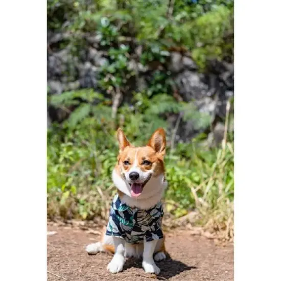 Parisian Pet 'Palm Leaves' Dog & Cat T-Shirt &ndash; Trendy Tropical Summer Pet Clothing, Comfortable & Lightweight - Blue & White image {4}