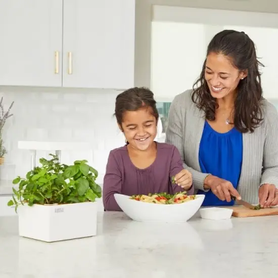 Back to the Roots Hydroponic Grow Kit with Organic Seeds image {2}