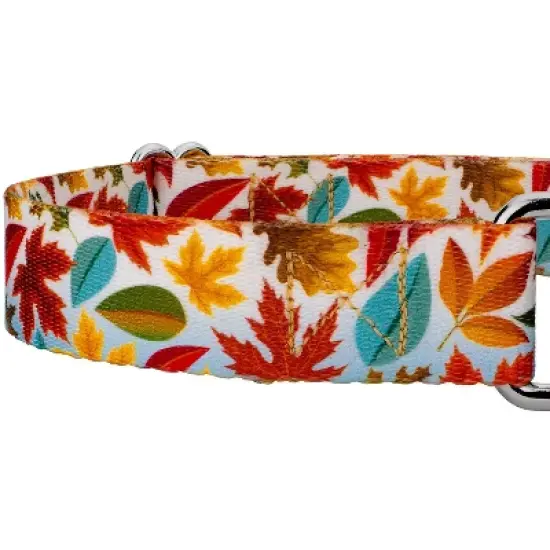 Country Brook Petz Martingale Dog Collar - Awesome Autumn Collection image {3}
