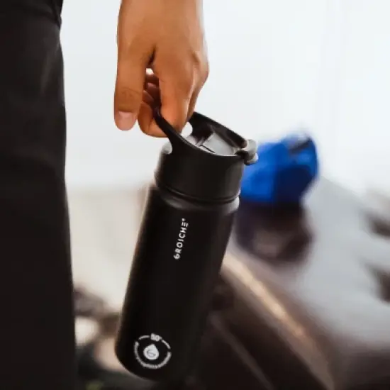 GROSCHE Chicago Steel 16 oz. Infusion Water Bottle Insulated Water Bottle Tea and Fruit Infuser Water Bottle Stainless Steel Flask image {5}