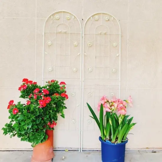MOEPISY 2 Pack Metal Garden Trellis 71 inch x 19.7 inch Rustproof Trellis Cream White image {10}