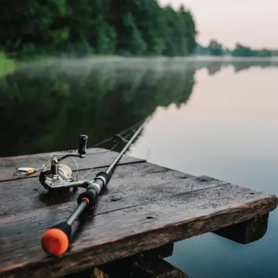 SNiPER II Disinfectant Cleanser and Odor Eliminator, Cleaner for Outdoor Disinfecting Purposes, Use for Hunting, Fishing, and Camping image {2}