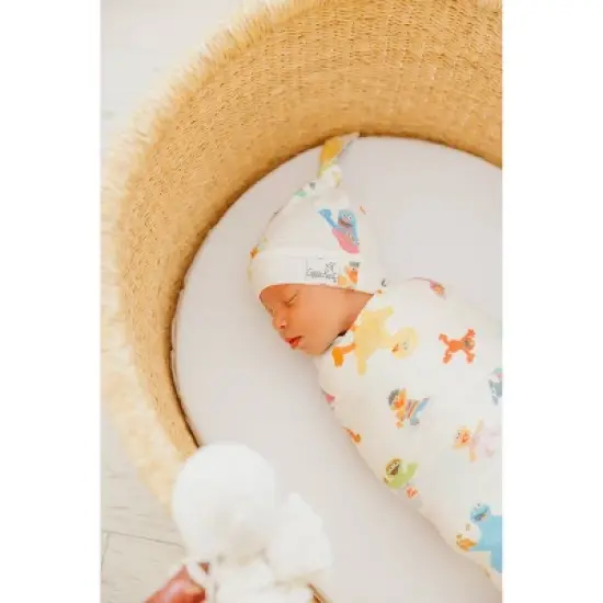 Copper Pearl Swaddle Blanket - Sesame Street image {3}