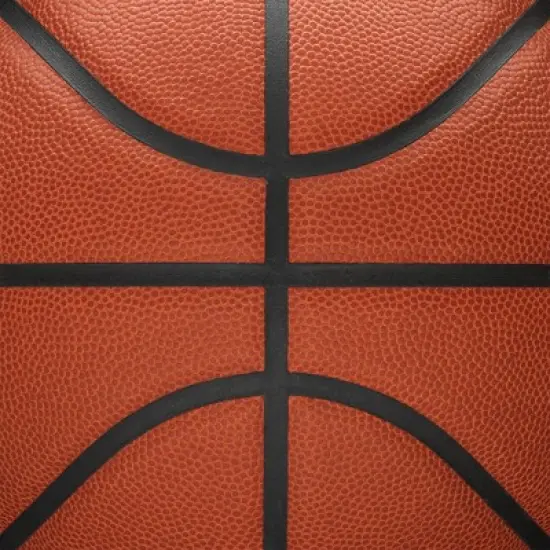 Wilson NBA Forge Size 7 Basketball image {9}