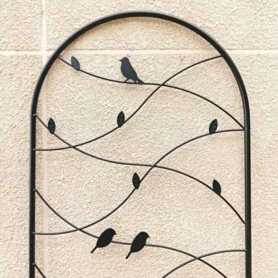 Dexmalle Rustproof Trellis for Climbing Plants image {9}