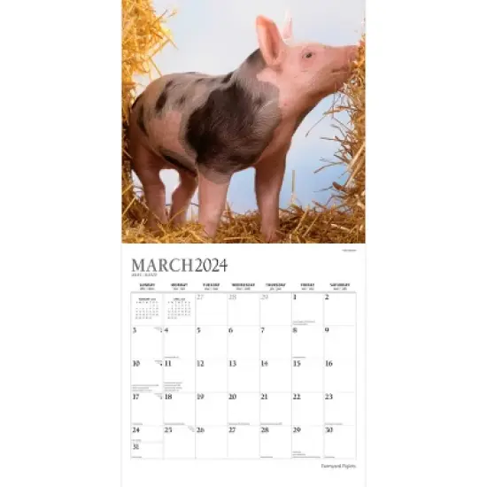 StarGifts 2024 Wall Calendar 12"x12" Farmyard Piglets image {2}