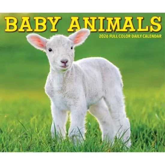 Willow Creek Press 2026 Baby Animals Box Calendar image {4}
