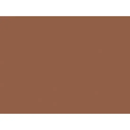 Pacon Tru-Ray Construction Paper Warm Brown 18" x 24" 50 Sheets Per Pack 2 Packs (PAC103089-2) image {1}