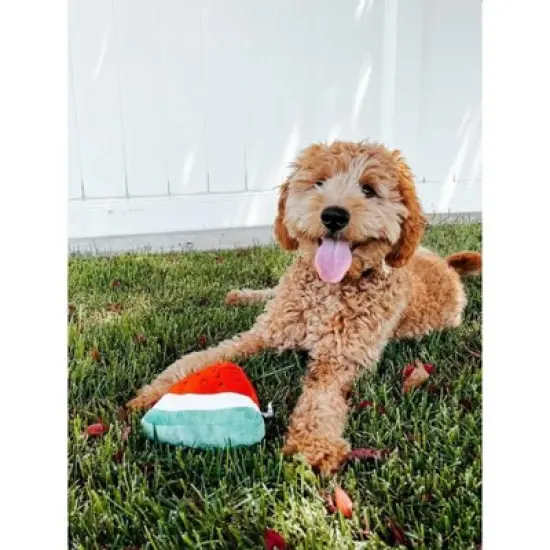 Midlee Smiley Watermelon Squeaker Plush Dog Toy - 5" image {3}