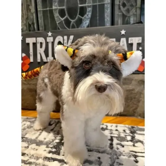 Midlee Tiger Dog Costume Headband & Tail- Large image {5}
