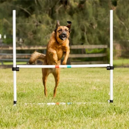 Midlee Dog Agility Bar Jumps- Set of 4 Jumps image {4}