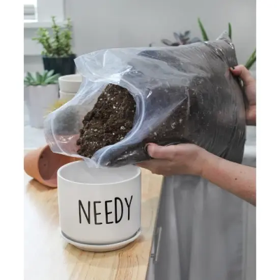 Soil Sunrise 8qt Succulent Potting Soil Mix, Custom Blend image {4}