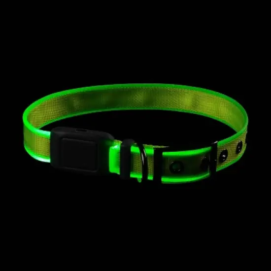 Nite Ize Nite Dog Rechargeable LED Dog Collar - L - Lime/Green image {5}