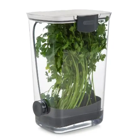 Progressive Prepworks BPA-Free Plastic Herb ProKeeper for Herbs, White image {3}