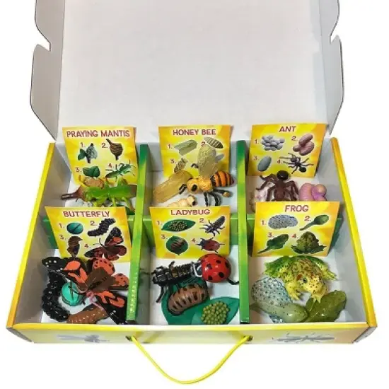 Insect Lore Products Life Cycle Figurines - 24 Pieces image {2}