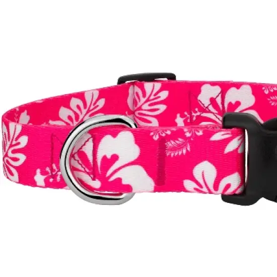Country Brook Petz Pink Hawaiian Deluxe Dog Collar and Leash image {5}