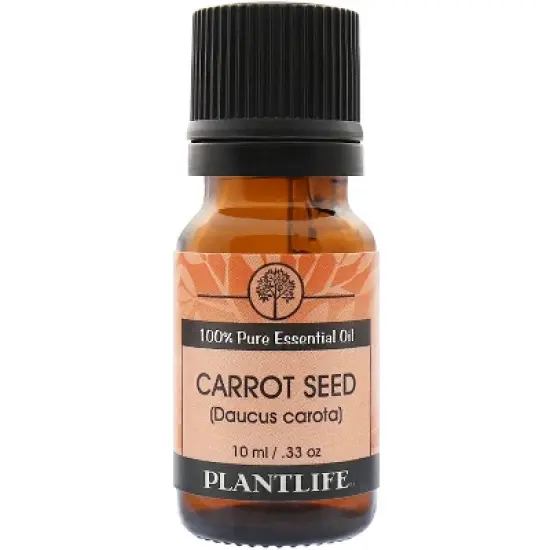 Plantlife Carrot Seed Essential Oil &ndash; 100% Pure & Therapeutic Grade &ndash; Natural, Undiluted & Steam-Distilled &ndash; No Additives or Fillers &ndash; 10 ml image {4}